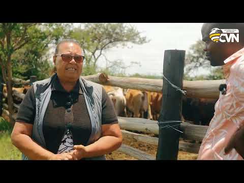 Intensive farming on a small piece of land — cattle, sheep, goats, and pigs all on one farm