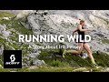 Running Wild | A Story About Iris Pessey