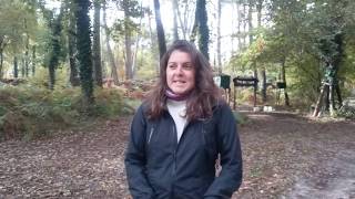 palombe.org Le témoignage d'une non chasseuse en visite à la palombière dans notre Sud-Ouest