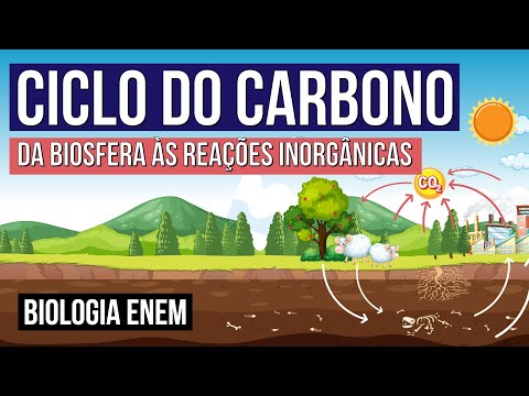 CARBON CYCLE: from the biosphere to inorganic reactions | Biology for Enem