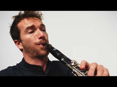 Ivresse(Euphoria) music by Remilson Santos Nery   Hanna Salzenstein cello Joë Christophe clarinet.