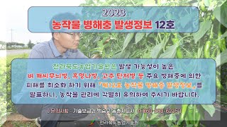 농작물 병해충 발생정보 12호 발표(2023.09.07~2023.10.04)