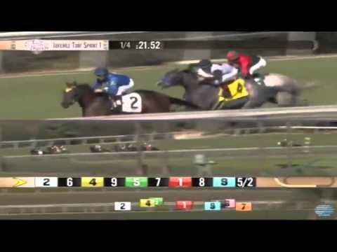 02.11.2013 Santa Anita Park (USA) 01.Race Juvenile Turf Sprint Stakes 2013 - List 1.307 m