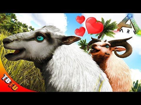 BEST WAY TO BREED OVIS! ARK MUTTON FARM! Ark: Survival Evolved E42