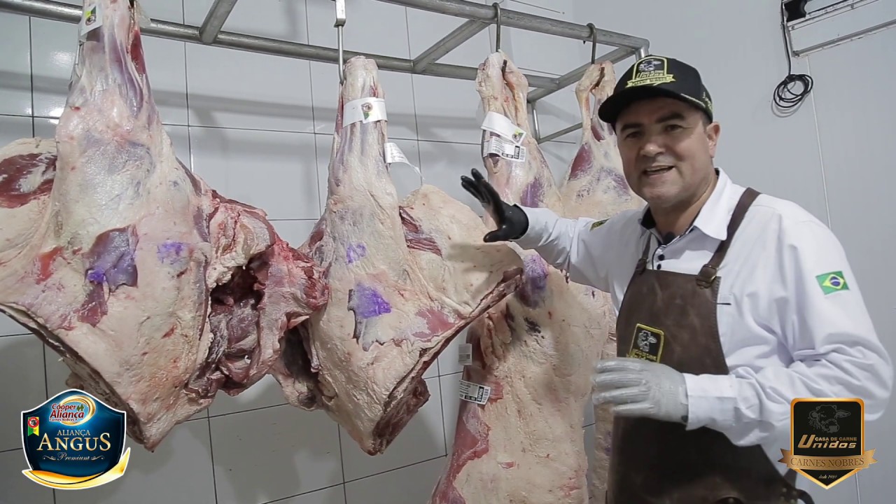 CORTE - SHOULDER ANGUS (Lucemar Piller)