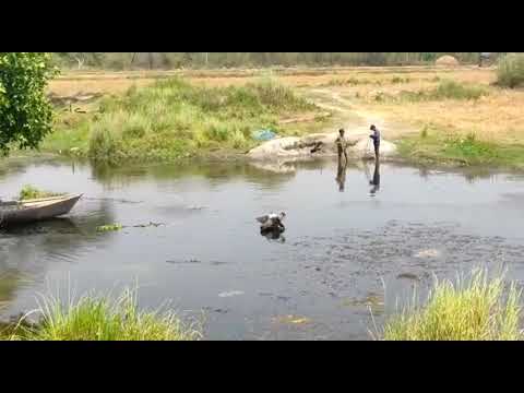 Gomti River...Near Nature... 🌱🌿🌿🌿🍃🍃🍃