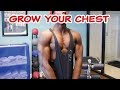 Hotel Chest Workout To Grow Your Chest *Funny Commentary*