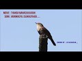 MOVIE THANGA MANASUKKARAN SONG MANIKKUYIL ISAIKKUTHADI