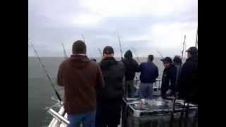 preview picture of video 'Striper fishing on the Chesapeake-18 fish on at once (9 doubles). 35-45lbs each'