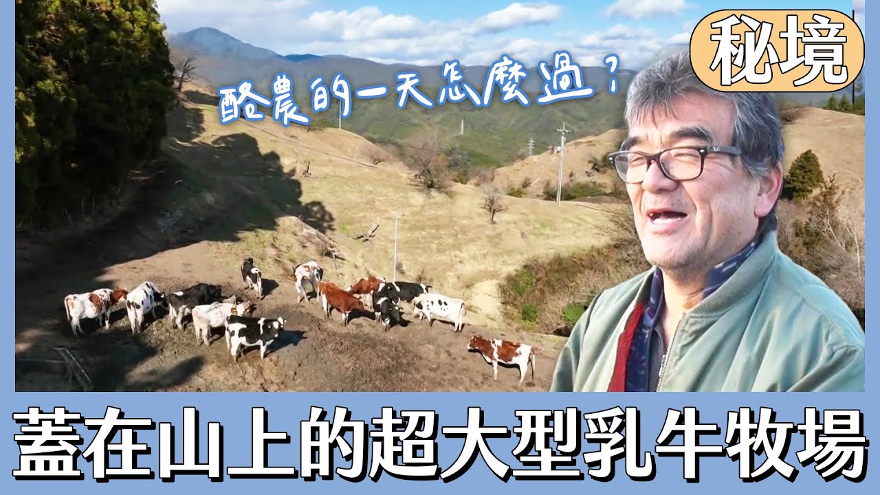 蓋在山上的超大型乳牛牧場！酪農家的一天是怎麼過的？【日本秘境有房好吃驚】
