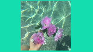 Like a fool_ Nylon Beat ( slowed + reverb )