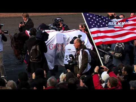 Tour d'honneur de Royal Dream - Grand Prix d’Amérique 2013