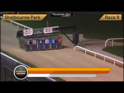 Riverside Honey - Shelbourne Marathon Open 1025 Semi Final