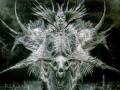 Backworld - Destroying Angel 