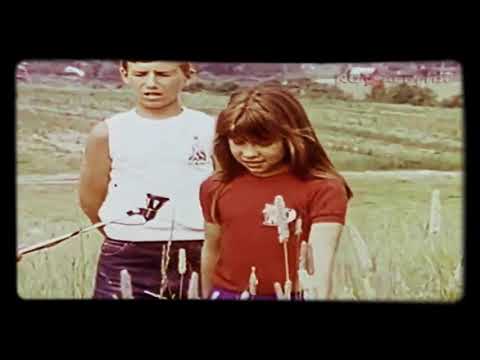 Харовский феномен. Посадка НЛО с выходом существа в г. Харовске в 1989 году. (Вологодская обл.)