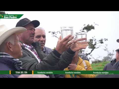 2026: TODOS SOMOS SAN PEDRO - CAPÍTULO 01