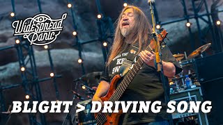Blight → Driving Song (Live at Red Rocks)