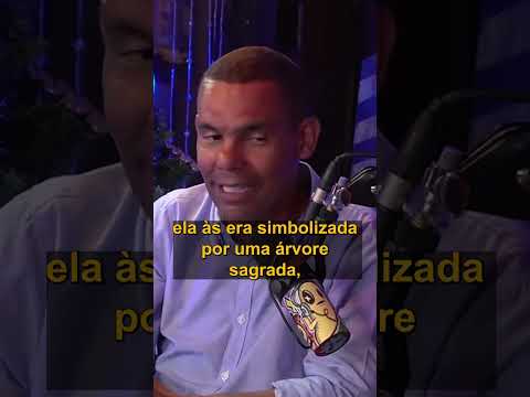 Vídeo: Árvore de Natal: perguntas e respostas do significado