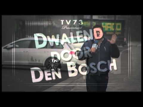 Dwalend door Den Bosch  23 oktober2015