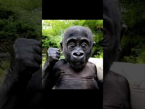 on es éliminé mais ont s'en fou 