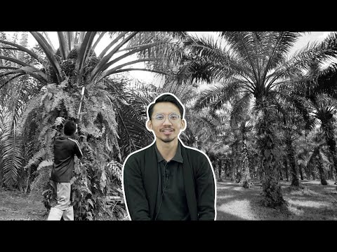 Kenali Sawit, Pokok yang Dicemburui Eropah