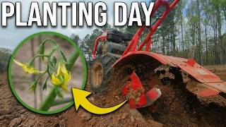 Planting Our Spring Garden in Mississippi | Corn, Peas, Tomatoes & More