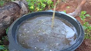 Download lagu TEKNIK APLIKASI PUPUK SUPERNASA & GLIO PADA TANAMAN CABE//PUPUK DASAR CABE mp3 Download lagu TEKNIK APLIKASI PUPUK SUPERNASA & GLIO PADA TANAMAN CABE//PUPUK DASAR CABE mp3