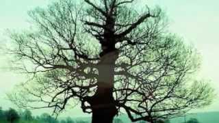 Sin palabras, de Gioconda Belli. Recita Joaquín de la Buelga