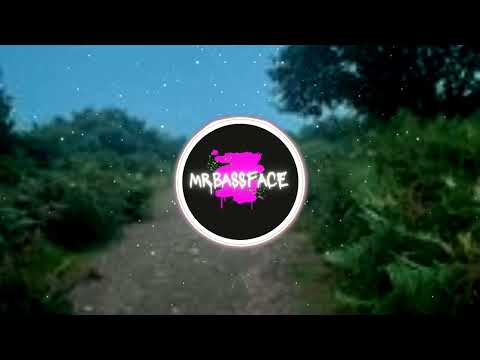 Mr Bassface - Face the bass