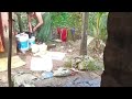 Daily Bathing For The House Wife Indian Wife Bathing Vlog Video