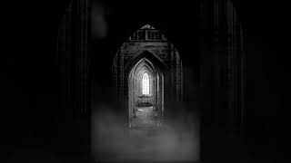 A Midnight Gathering