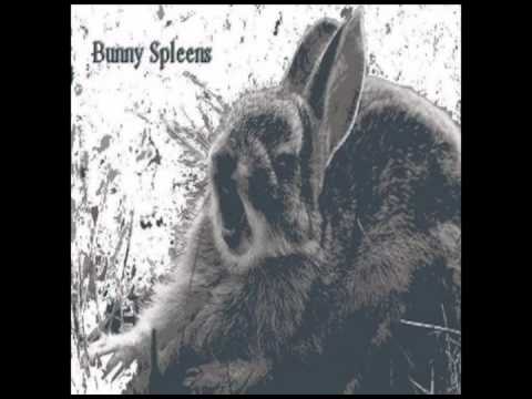 Bunny Spleens - 15 - Robotness