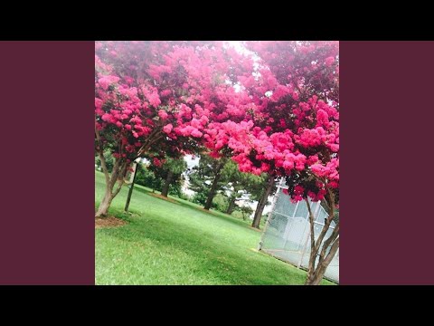Video thumbnail for Round My Way