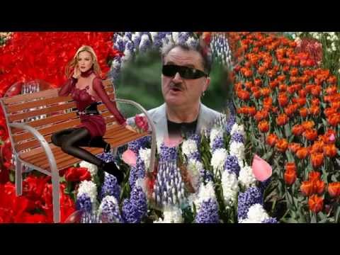 JURAJ KOVACEVIC-Moj zumbule-Safet Isovic