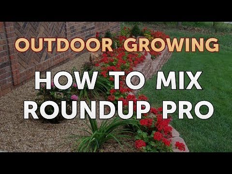 Will Salt or Vinegar Kill Bamboo