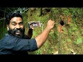 What Inside A Snake House പാമ്പിന്റെ അളയിൽ ക്യാമറ കയ�