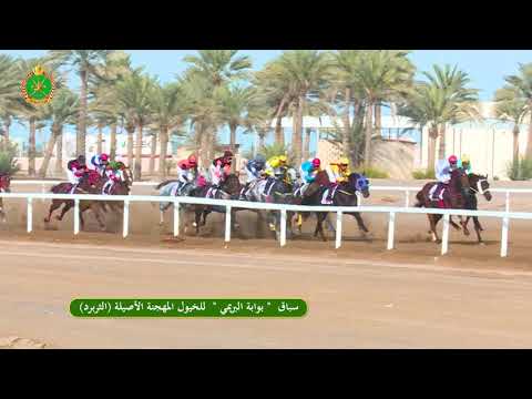 الشوط الرابع- السباق الخامس- 16/11/2018 - Race 5 4th meeting