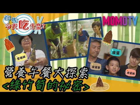 營養午餐大探索-綠竹筍的祕密(ft.皮蛋&皮蛋媽&皮蛋爸)《爸！媽！今天吃什麼？》
