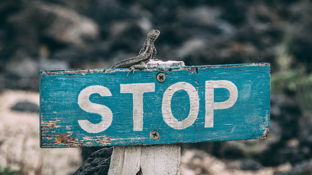 Gilberto Espino G.-67