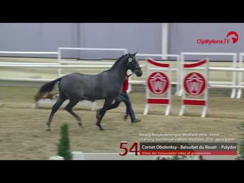 54 Cornet Obolensky   Baloubet du Rouet   Polydor