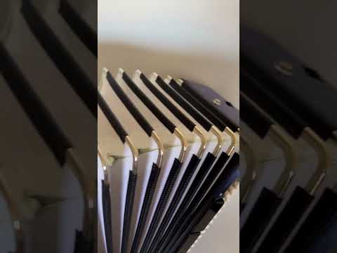 NEW Weltmeister Romance 703 5 Rows Chromatic Button Accordion, made in Germany, 96 Bass buttons, B-Gripp, Blue, incl. Straps and Case, Shipping from USA image 10