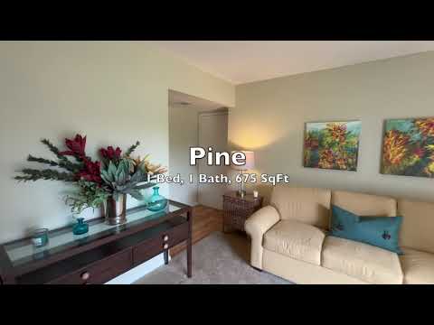 Pine - 1 Bed, 1 Bath