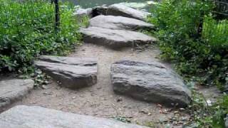 New York City Sightseeing, Part 15