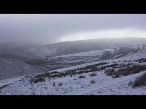 Fiona Joy Hawkins - Frosted View