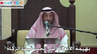 1054 - بهيمة الأنعام التي تجب فيها الزكاة - عثمان الخميس - دليل الطالب