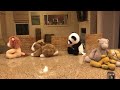 Cupid Shuffle With The Stuffed Animals