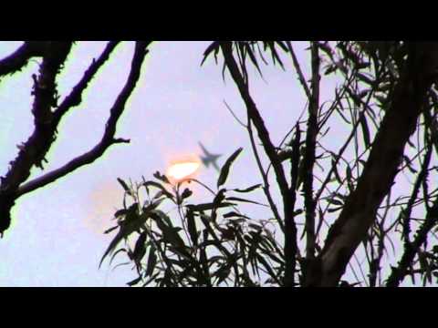 F-111 Final Ever Dump & Burn