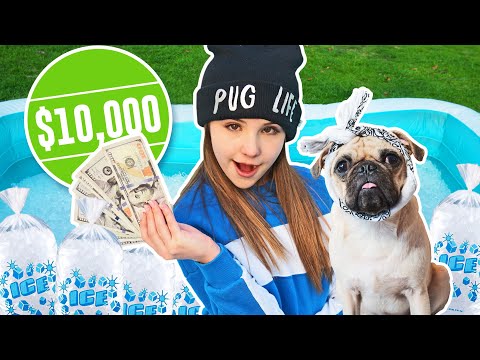 Last To Leave *FREEZING* ICE POOL Wins $10,000 CHALLENGE💰❄️| Piper Rockelle Video