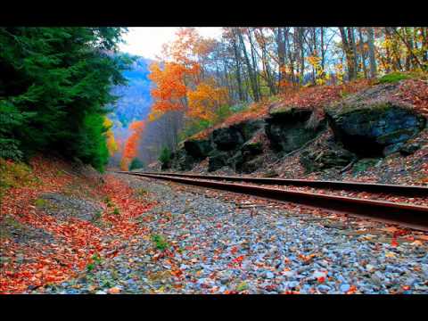 Hayley Parsons - Changing Lanes (Enton Mushi Dub)