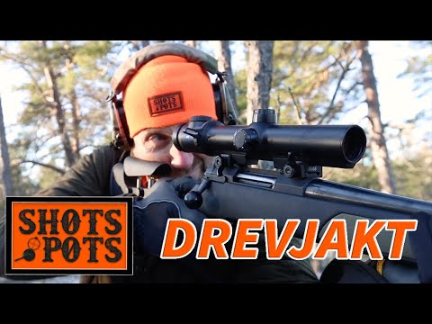 DREVJAKT PÅ DOVHJORT - Lubbe är på årets sista drevjakt